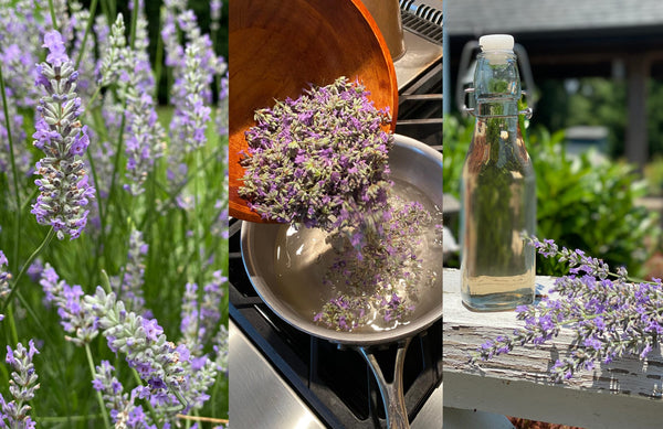Lavender Simple Syrup Recipe — with Cocktail Suggestions!
